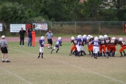 2008 PSLAA Ravens