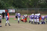 2008 PSLAA Ravens