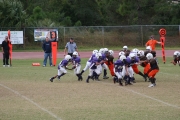 2008 PSLAA Ravens