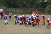 2008 PSLAA Ravens