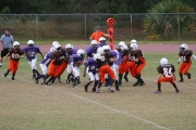 2008 PSLAA Ravens