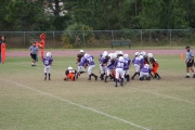 2008 PSLAA Ravens