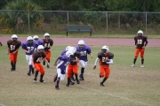 2008 PSLAA Ravens