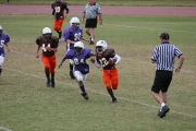 2008 PSLAA Ravens