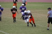 2008 PSLAA Ravens