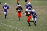 2008 PSLAA Ravens