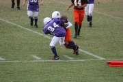 2008 PSLAA Ravens