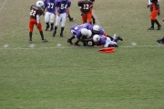 2008 PSLAA Ravens