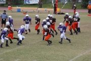 2008 PSLAA Ravens