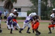 2008 PSLAA Ravens