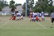 2008 PSLAA Ravens