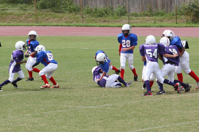 2008 PSLAA Ravens