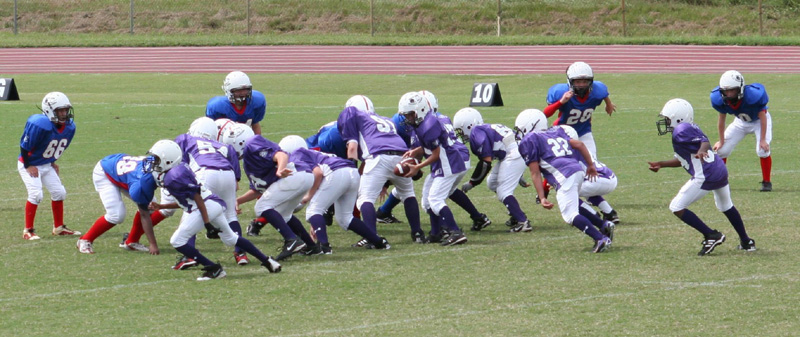 2008 PSLAA Ravens