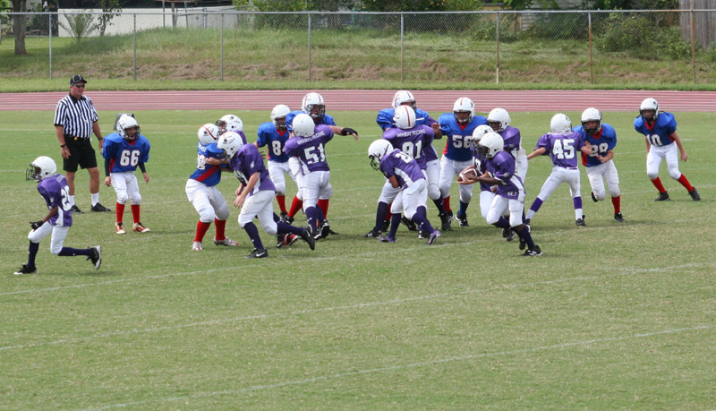 2008 PSLAA Ravens