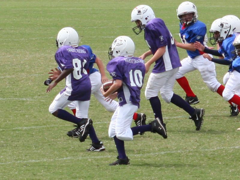 2008 PSLAA Ravens