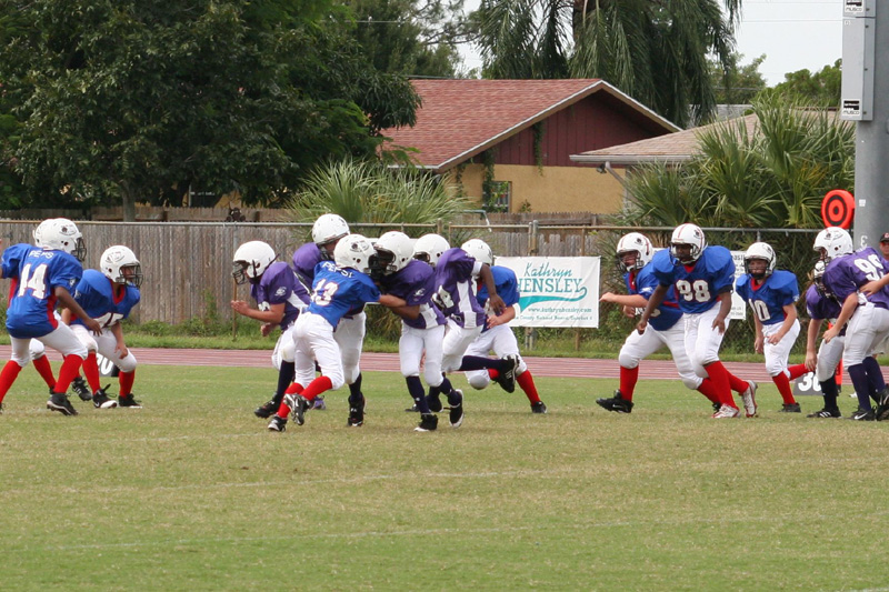 2008 PSLAA Ravens