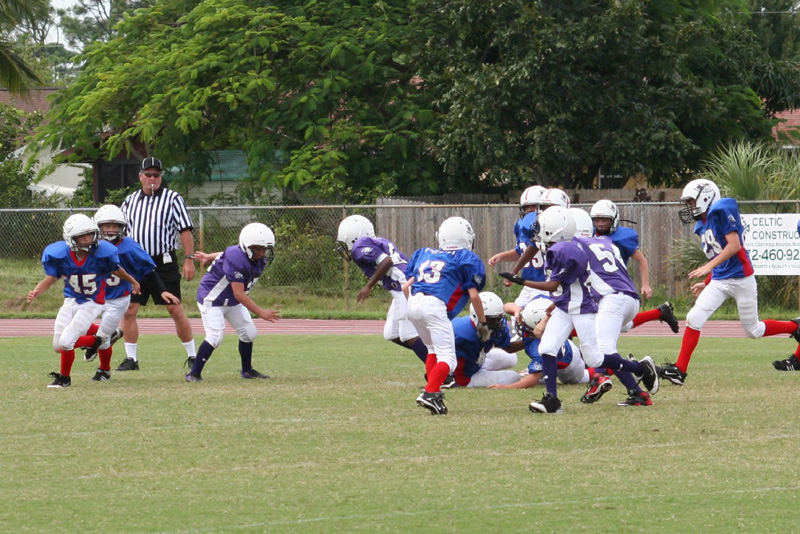 2008 PSLAA Ravens