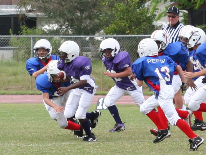 2008 PSLAA Ravens