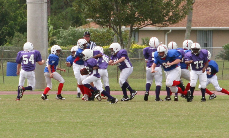 2008 PSLAA Ravens