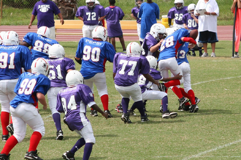 2008 PSLAA Ravens