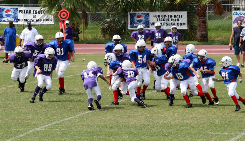 2008 PSLAA Ravens