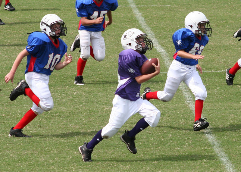 2008 PSLAA Ravens