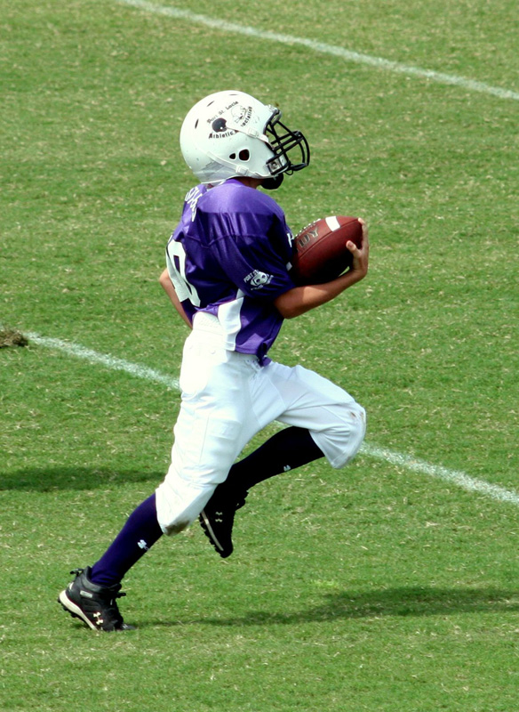 2008 PSLAA Ravens