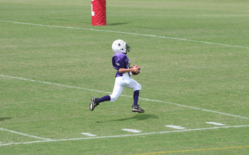 2008 PSLAA Ravens