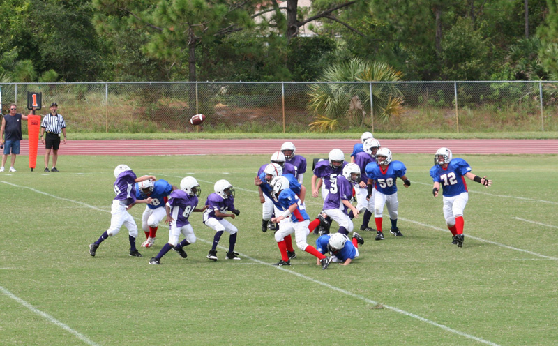 2008 PSLAA Ravens