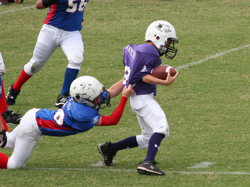 2008 PSLAA Ravens