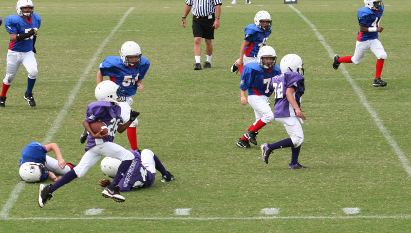 2008 PSLAA Ravens