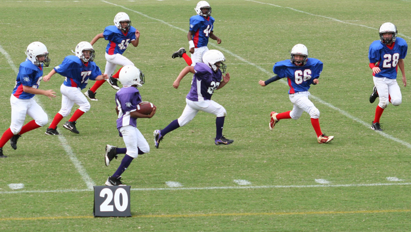 2008 PSLAA Ravens