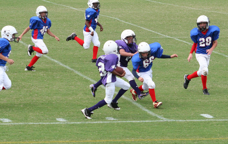 2008 PSLAA Ravens