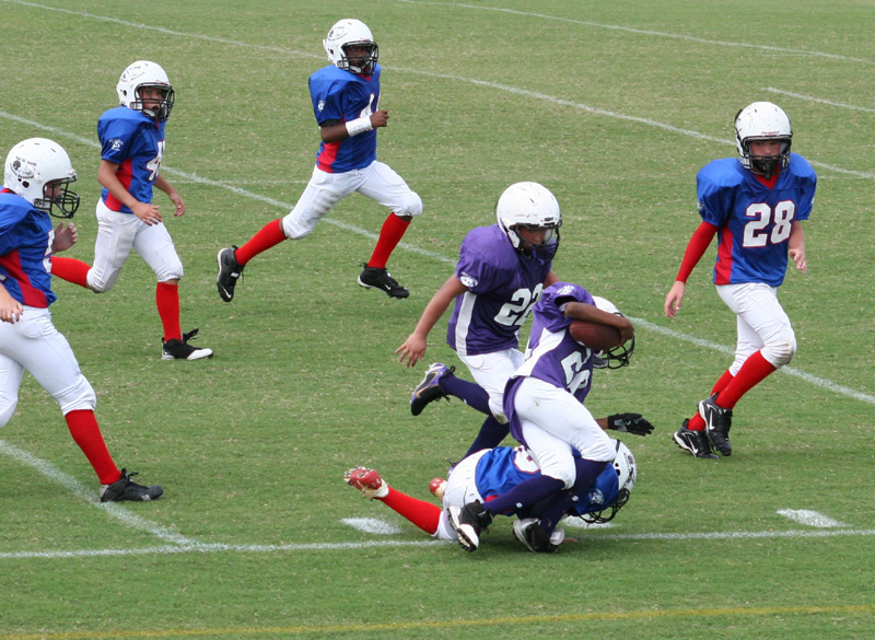 2008 PSLAA Ravens