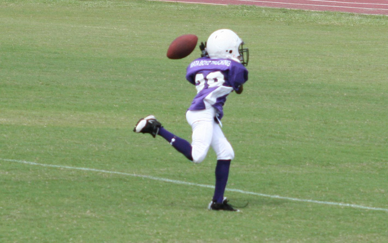 2008 PSLAA Ravens