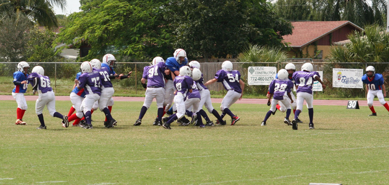 2008 PSLAA Ravens