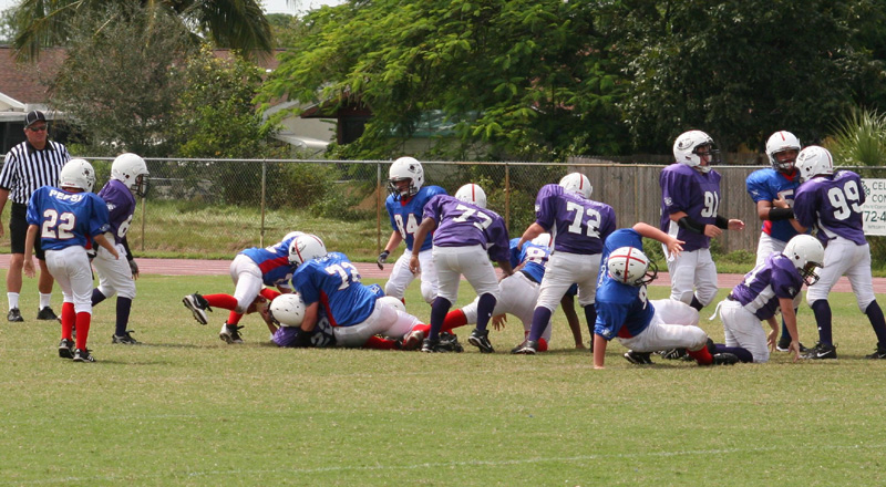 2008 PSLAA Ravens