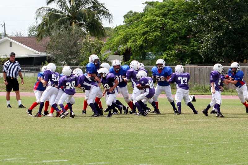 2008 PSLAA Ravens