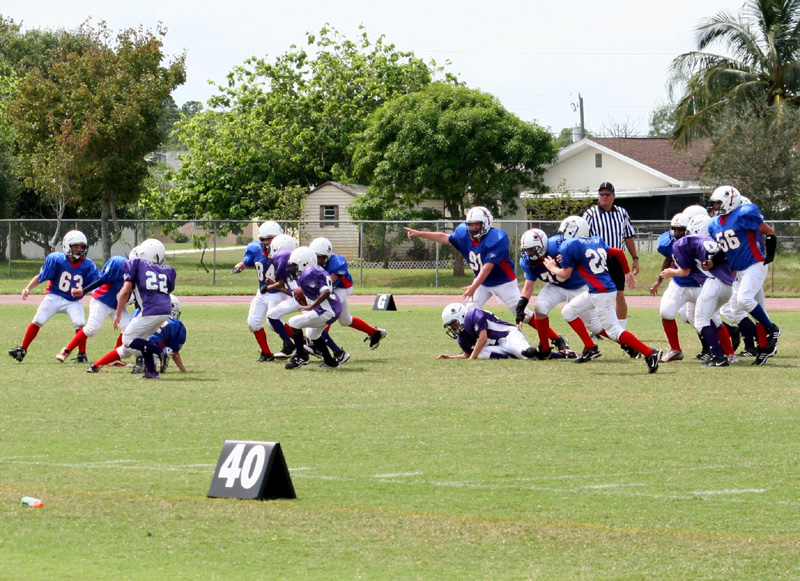 2008 PSLAA Ravens