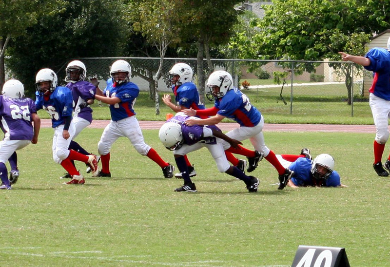 2008 PSLAA Ravens