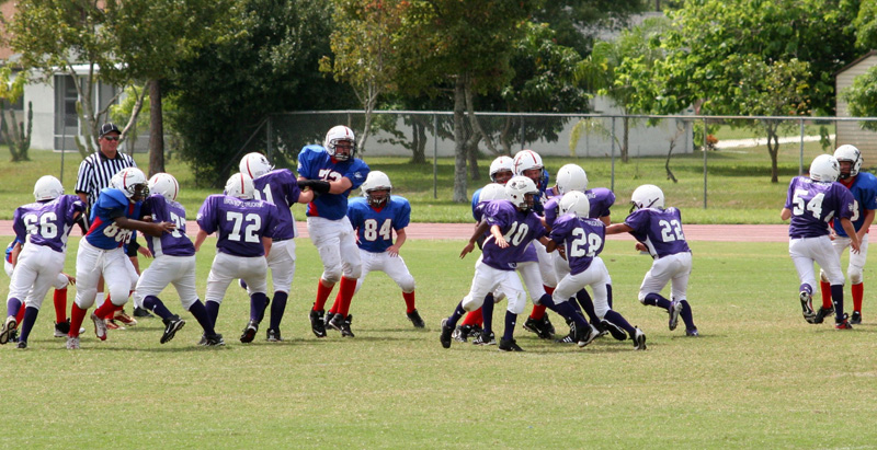 2008 PSLAA Ravens