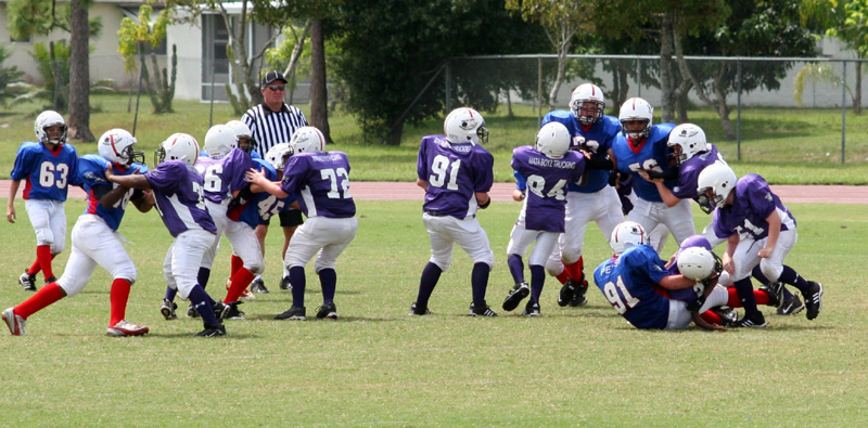 2008 PSLAA Ravens