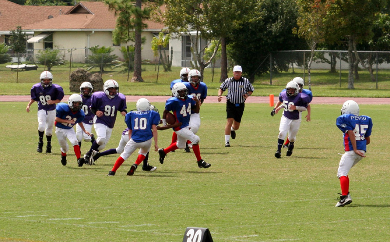 2008 PSLAA Ravens