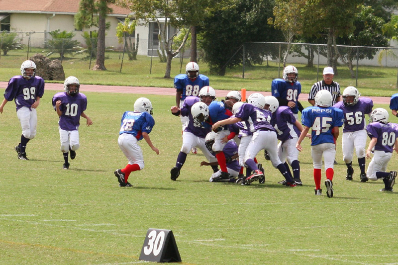 2008 PSLAA Ravens