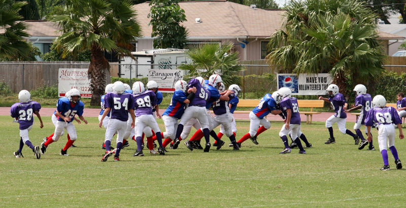 2008 PSLAA Ravens