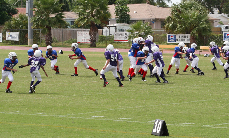 2008 PSLAA Ravens