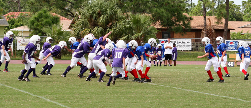 2008 PSLAA Ravens