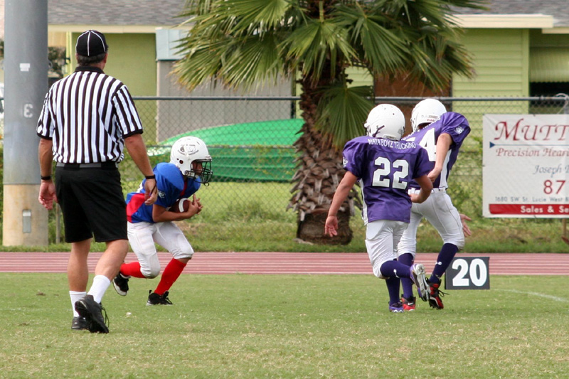 2008 PSLAA Ravens