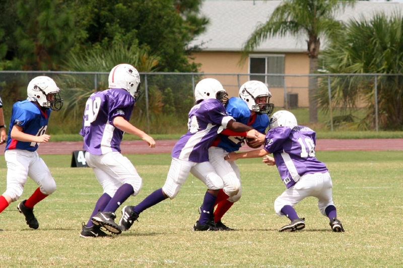 2008 PSLAA Ravens