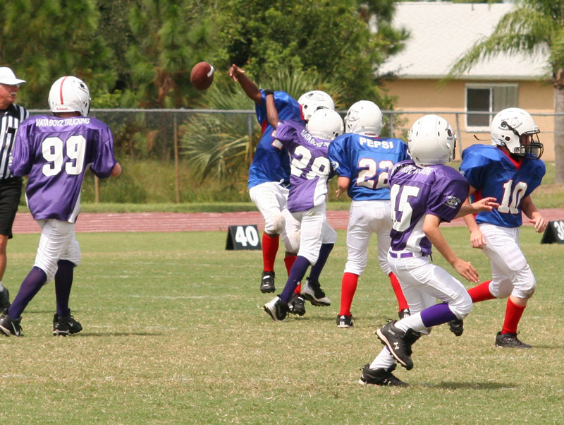 2008 PSLAA Ravens